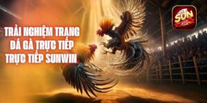 Trải Nghiệm Trang Đá Gà Trực Tiếp Sunwin Siêu Gay Cấn